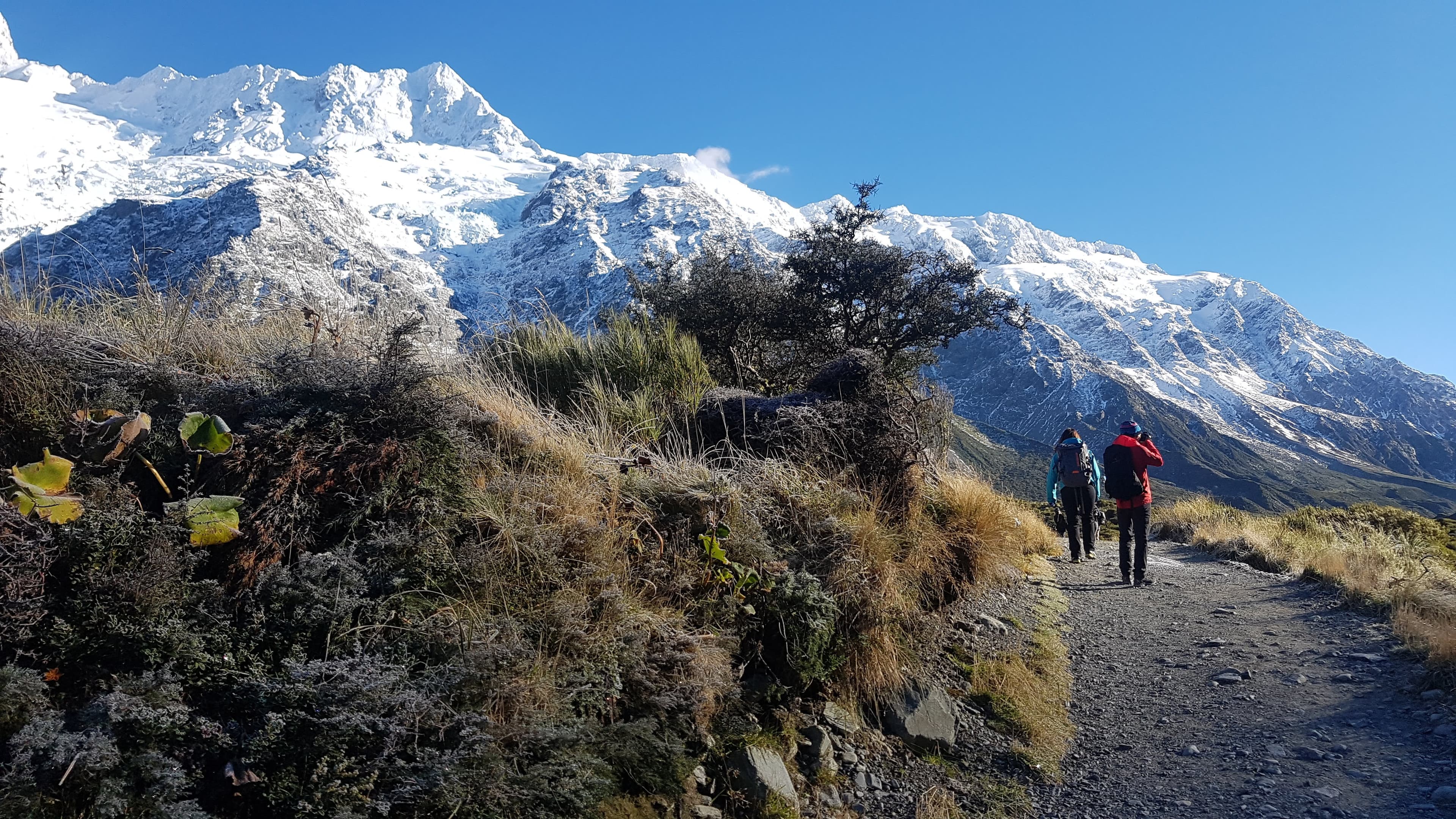 South Island, New Zealand