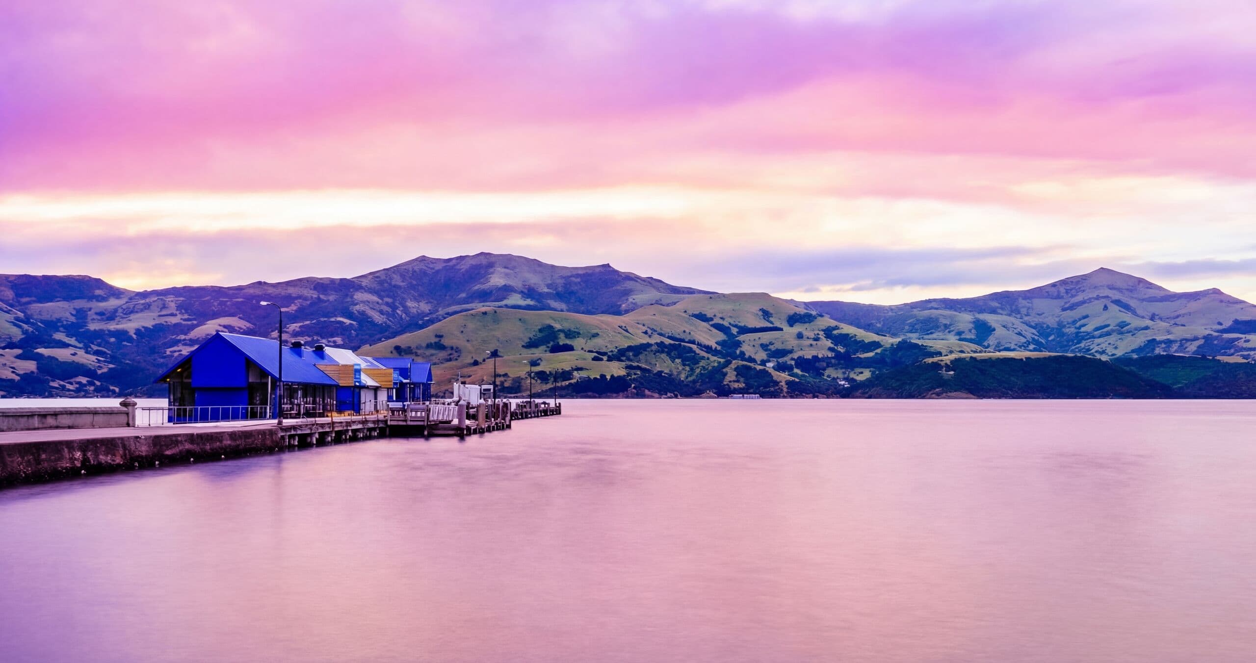 Akaroa Tour