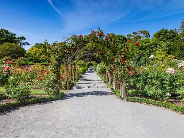 Christchurch Garden Tour